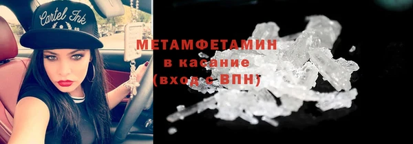 прущие грибы Красноперекопск