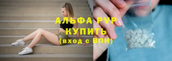 стафф Бородино