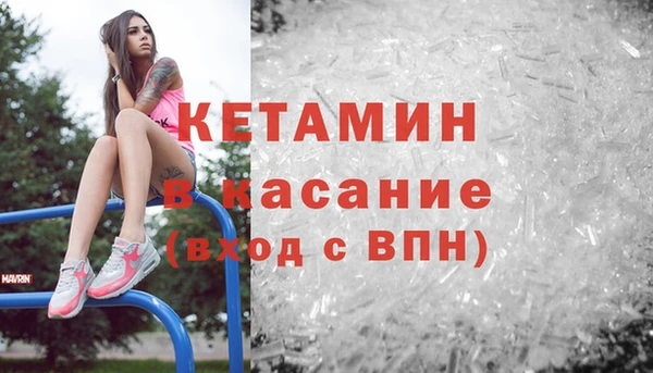 прущие грибы Струнино