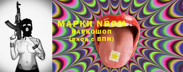 соль ск Краснослободск
