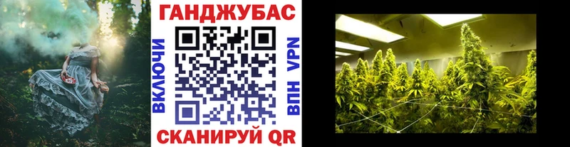 Бошки марихуана план  Александровское 
